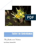 Guia de Kokedamas PDF