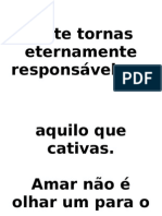 Tu Te Tornas Eternamente Responsável Por Aquilo Que Cativas