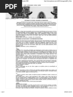 Feix - Performance e Sociedade Percepcoes Contemporaneas