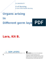 Organs Arising in Different Germ Layers: Lara, Kit B