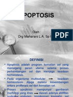 Apoptosis Drg Maharani