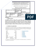 Previo 6. Sistema Digestivo