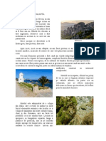 Compunere Greaca PT Revista