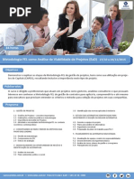 Metodologia FEL Como Analise de Viabilidade de Projetos