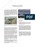 Wandering Tattler: 1 References