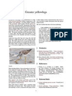 Greater Yellowlegs PDF