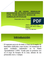 Humedales Artificiales para Tratamiento de Aguas Residuales Industriales.pptx