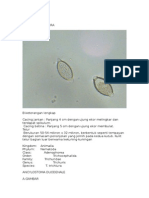 Praktikum Mikrobiologi