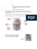 Resumo Sistema de Vucetich