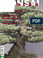 Bonsai Pasion 33 PDF