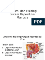 Anatomi Dan Fisiologi Sistem Reproduksi Manusia