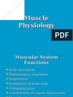Muscle Physiology Review