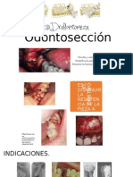 Odontosección