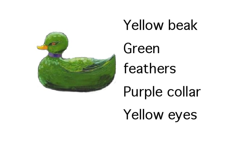 Duck Description Labels | PDF