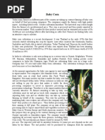 Download Baby Corn by pankaj_gyl SN28787125 doc pdf