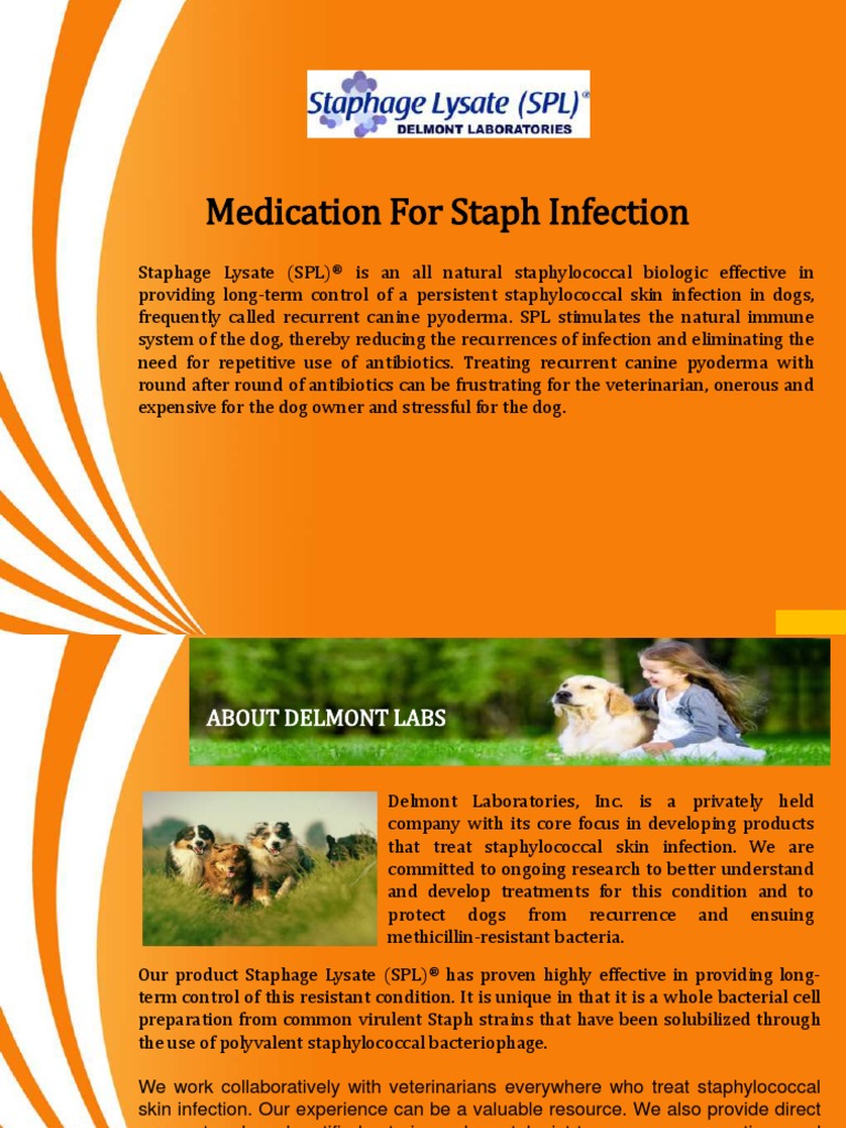 Medication for Staph Infection Antibiotics Staphylococcus