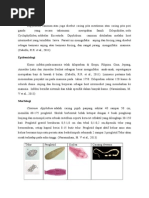 Download Dipylidium Caninum  by KamalAbdurrosidRosid SN287883606 doc pdf