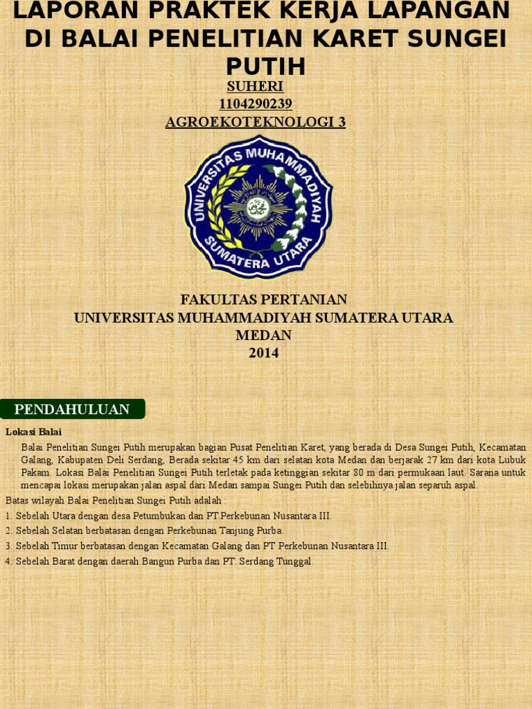 Power Point Laporan Pkl