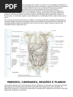 Resumo Moore - Anatomia de Abdome