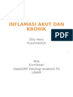 Inflamasi Akut Dan Kronik s1 Fkm Nila