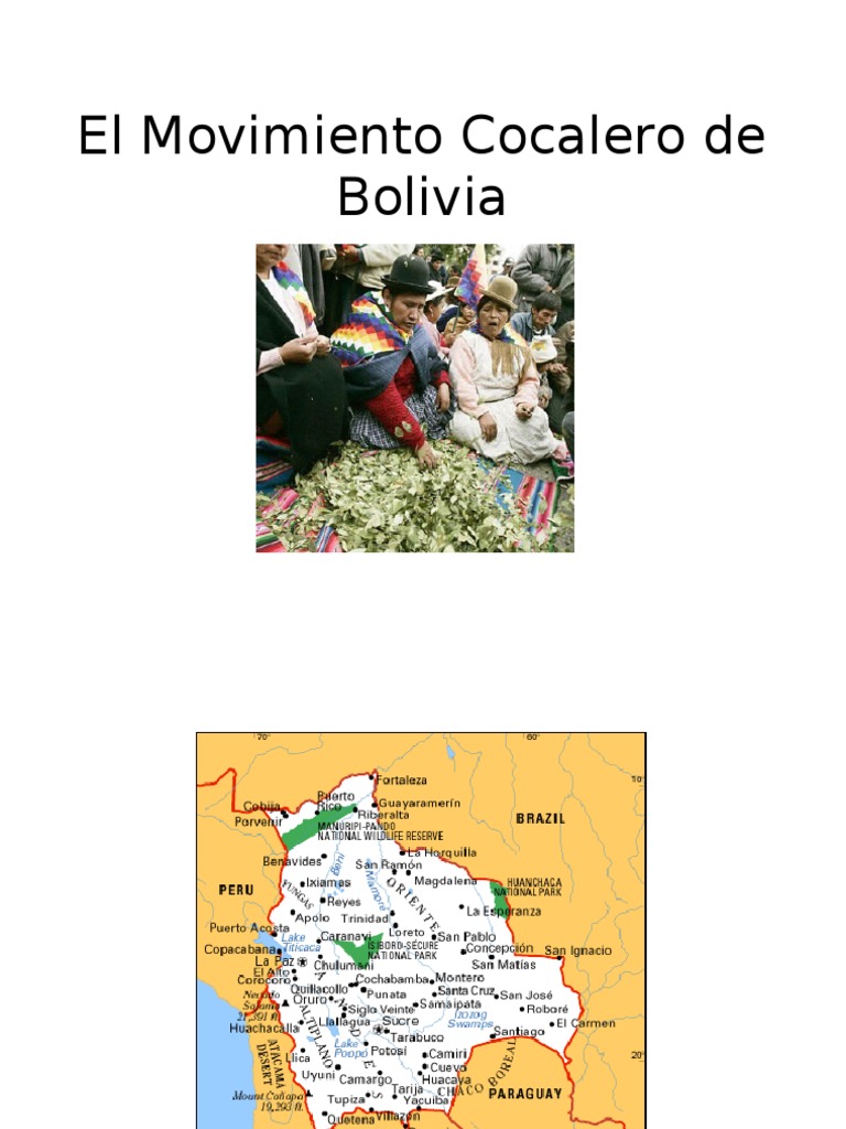 El Movimiento Cocalero de Bolivia | PDF | Bolivia | Política (general)
