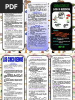 Triptico Los 5 Reinos