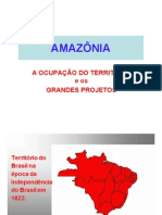 11. Amazônia Ocupação Do Território.2015