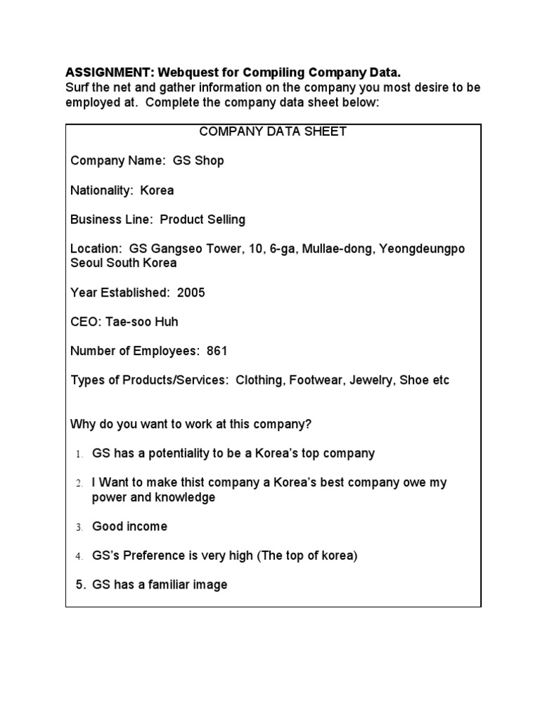 GS Shop Company Data Overview | PDF