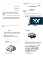 1. SISTEMA NERVIOSO CENTRAL.doc