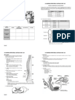 2. SISTEMA NERVIOSO PERIFERICO.doc