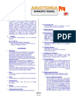 AN-11E-02 (TP - Aparato Renal) FM.doc