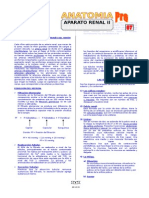 An-11E-05 (TP - Aparato Renal) FM