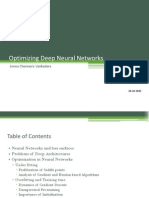 Optimizing Deep Neural Networks