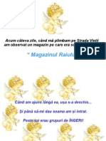 MAGAZINUL RAIULUI