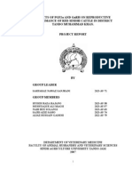 Effects of PGF2alpha and GNRH On Reproductive Performance of Red Sindhi Cattle