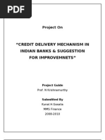 Credit Delivery Mechanism in India