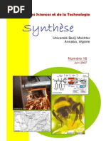synthese N16