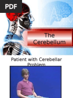 Ascending Tracts Ppt | Spinal Cord | Cerebellum