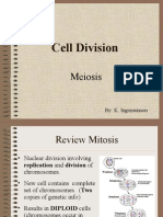Cell Division: Meiosis