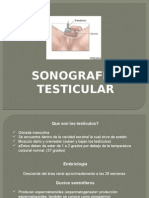 Presentacion Sonografia Testicular