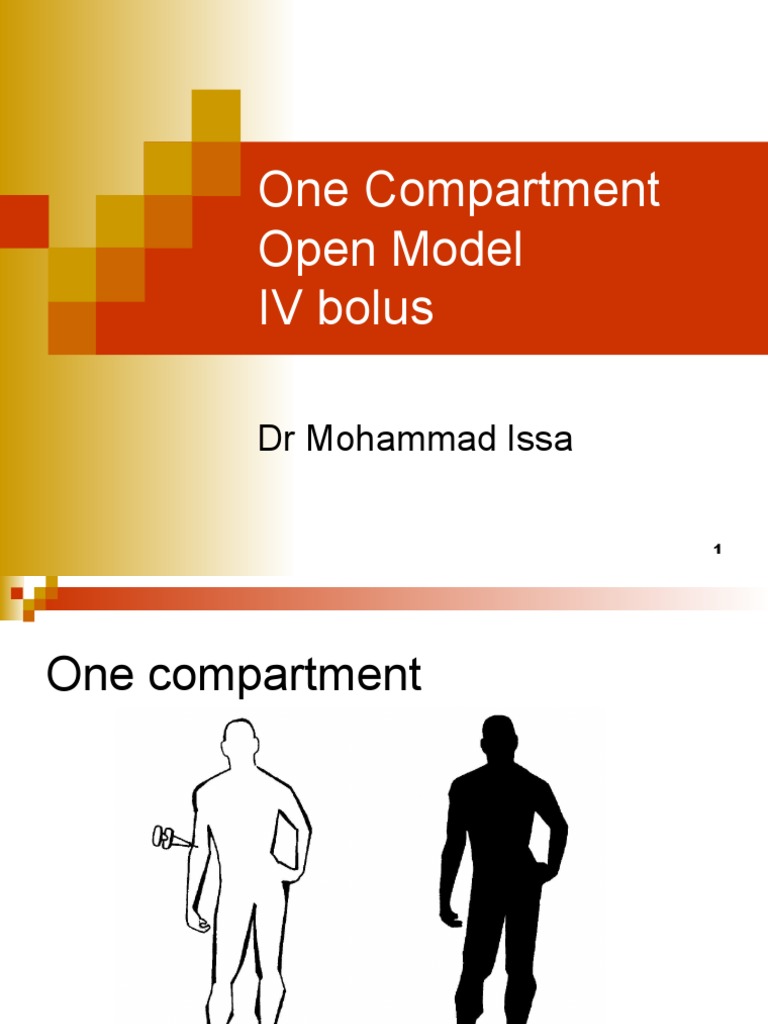 One Compartment IV Bolus Model Overview | PDF | Pharmacokinetics ...