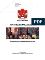 Fundamentos de anatomia humana.pdf