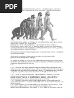 EVOLUÇÃO HUMANA.docx