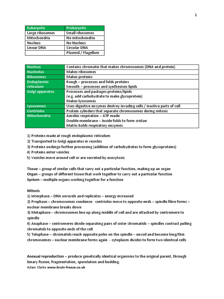 Edexcel Biology Unit 2 Revision Notes | PDF | Home & Garden | Wellness