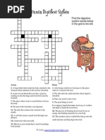 Digestivesystem Crossword