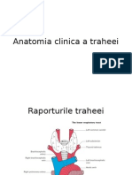 Anatomia Clinica A Traheei