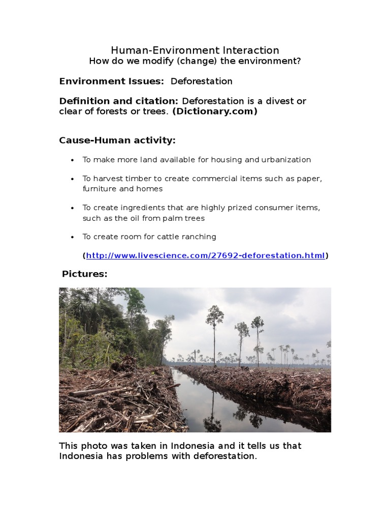 Human-Environment Interaction and Deforestation | PDF