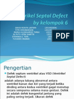 Ventrikel Septal Defect