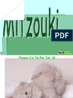 Mitzouki