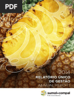 Relatório de Contas Compal 2014